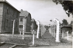 auschwitz_9